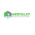 Logo Company Websoles Strategic Digital Solutions on Cloodo