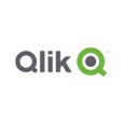 Logo Company Qlik on Cloodo