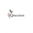 IQnection Web Design & Marketing