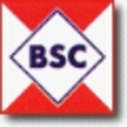 Baltic Shipping Company