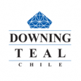 Logo Agency Downing Teal on Cloodo