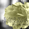 logo agency