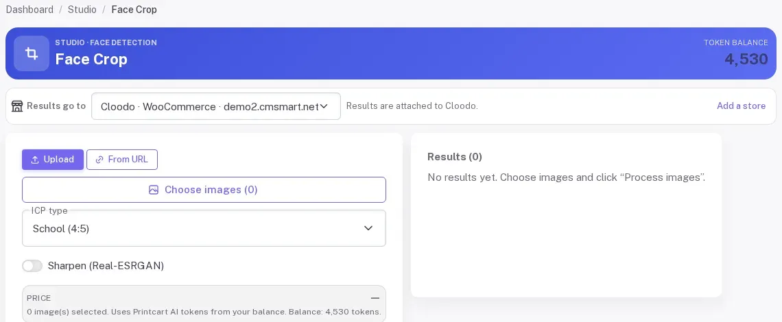 Face Crop form before any photo is added, with the store picker, Upload and From URL tabs, ICP type and an empty price box
