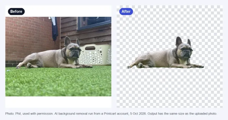 Remove a Product Photo Background on printcart.com: Free Preview and AI Trial cover