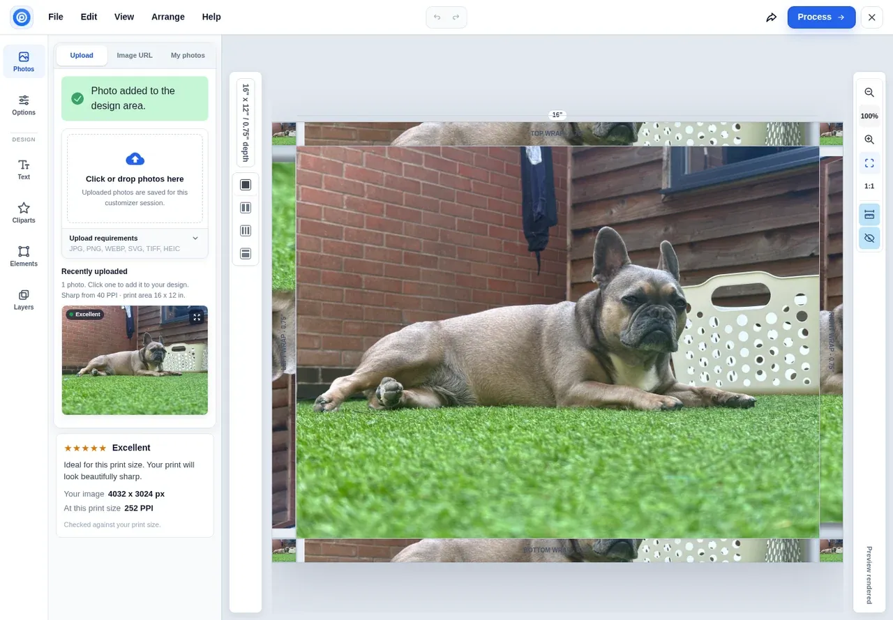 Canvas designer preview mode with guides hidden, showing the finished canvas