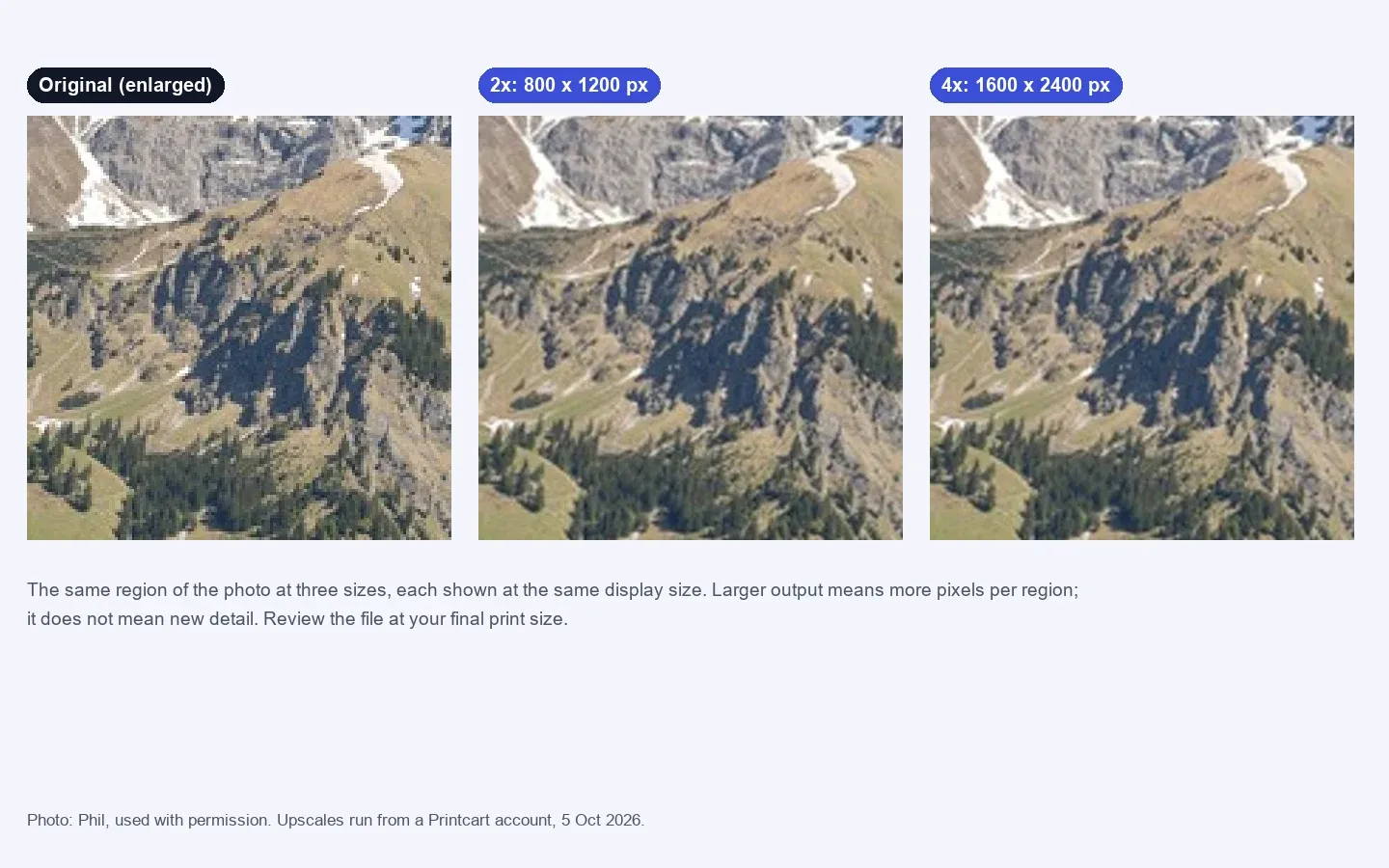 The same region of the photo shown as the enlarged original, the 2x upscale and the 4x upscale, each at the same display size