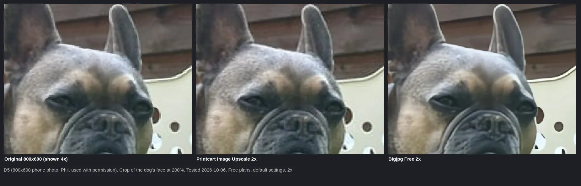 Three crops of a dog's face: the 800x600 original at 4x, Printcart 2x and Bigjpg 2x, tested 2026-10-06